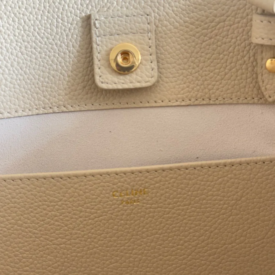 CE New Arrival Anais Cabas in Grained Calfskin Tote