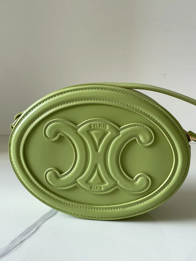 Triomphe Canvas Smooth Calfskin Elliptical Handbag