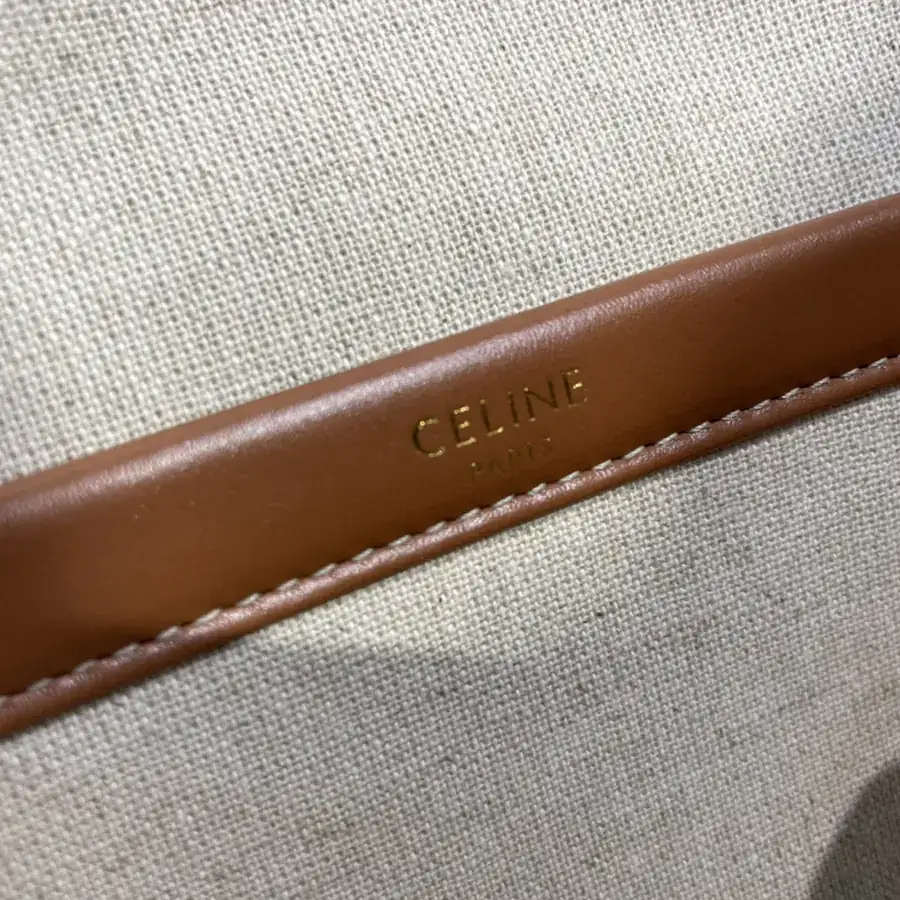 CL New CABAS THAIS Fall Large Tote Bag