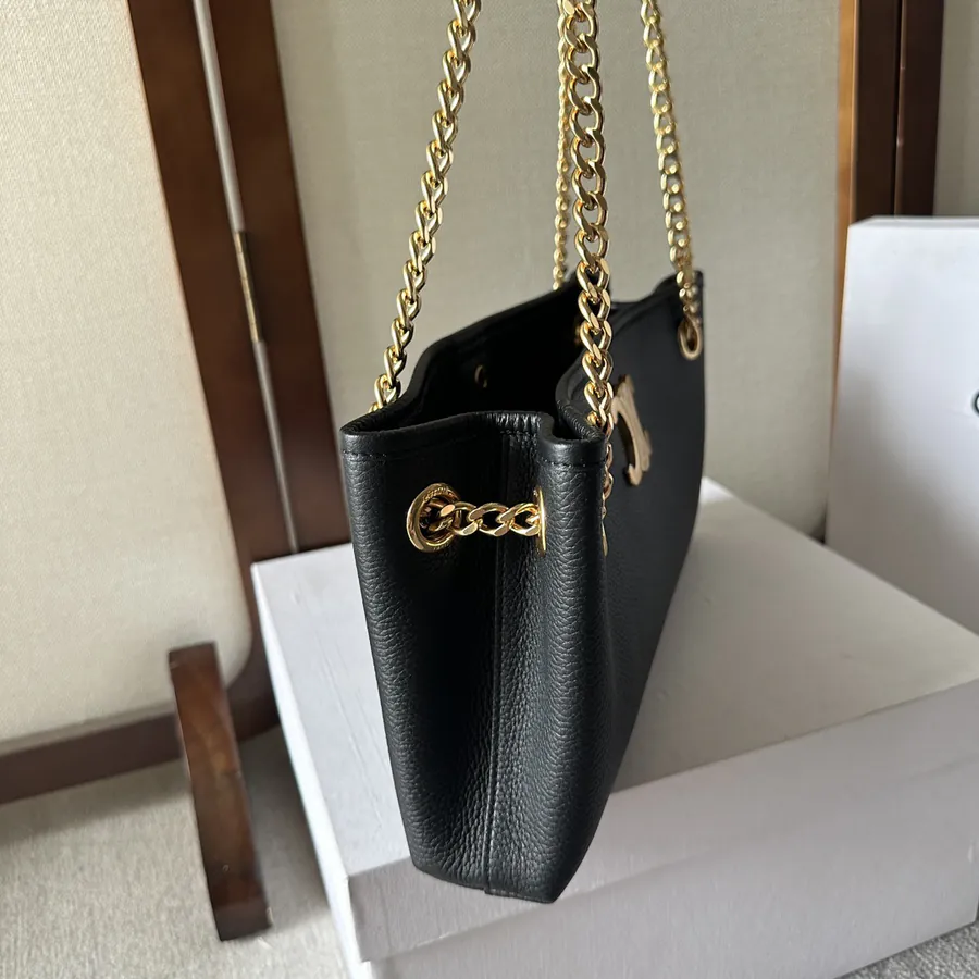 CELIN E23 Newspaper Triomphe Soft Leather Chain Bag