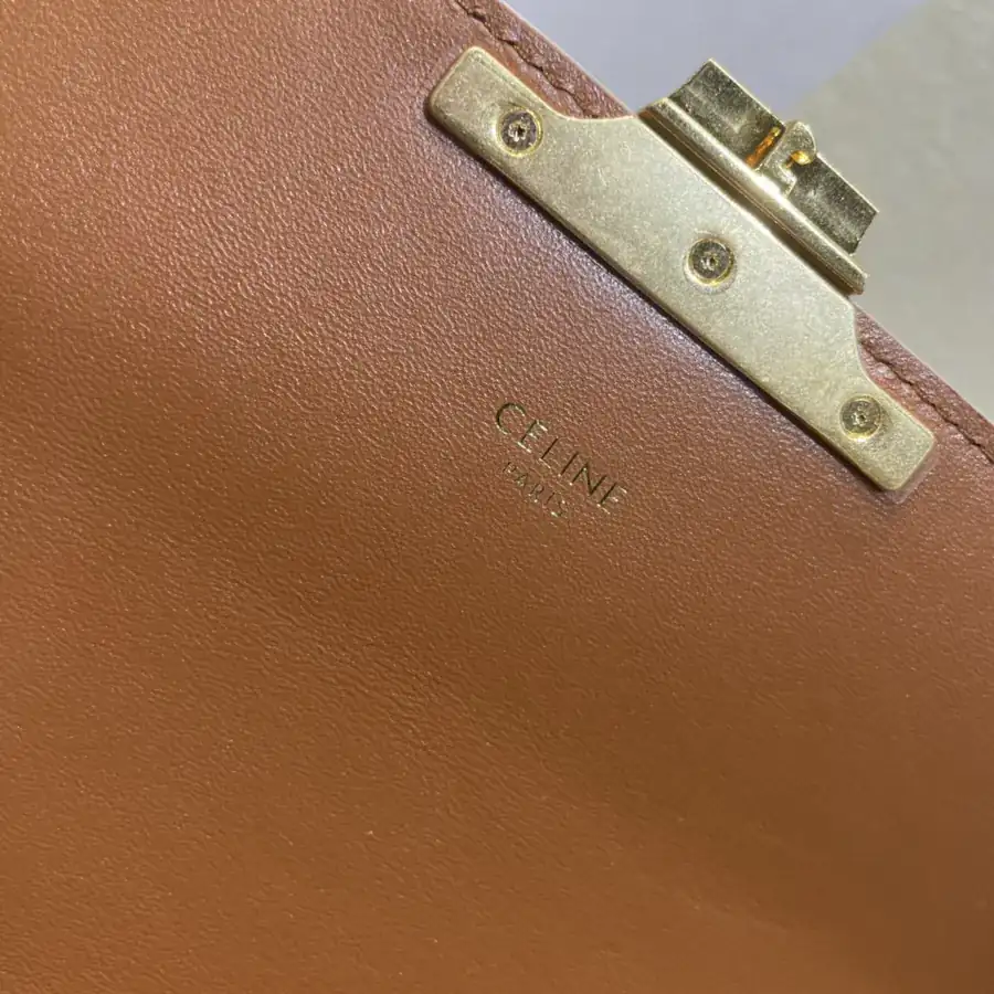 CELIN* Triomphe Crossbody Bag