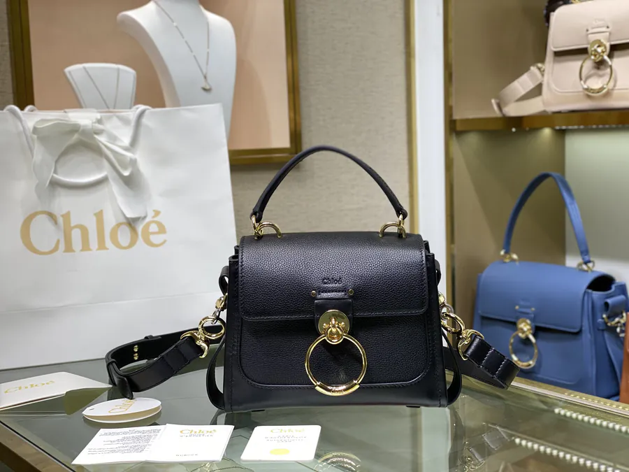 Chloe Tess Day Mini Bag