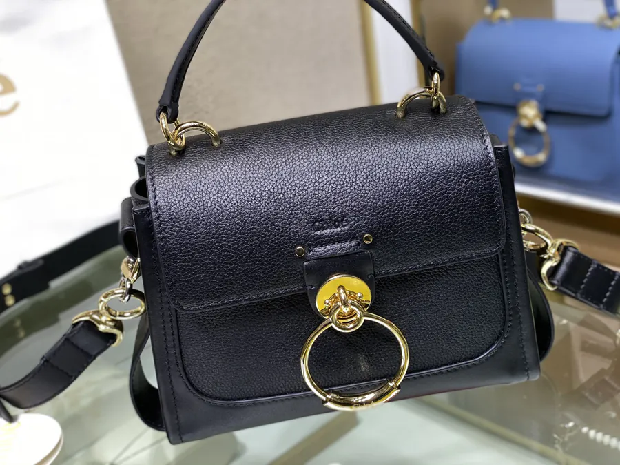 Chloe Tess Day Mini Bag
