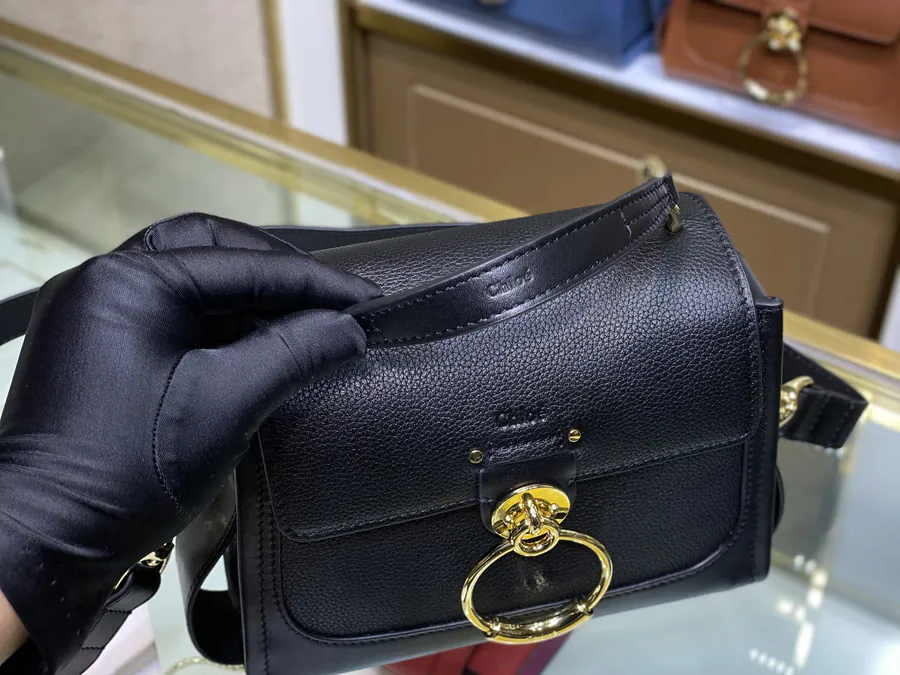 Chloe Tess Day Mini Bag