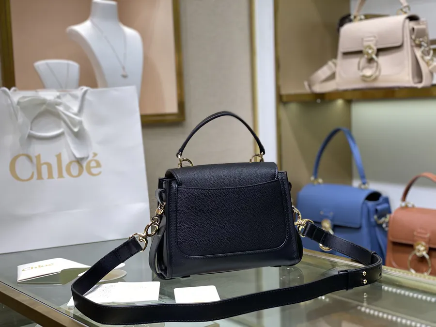 Chloe Tess Day Mini Bag