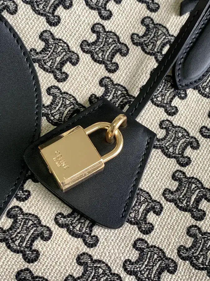 CELIN*22s CABAS刺绣 Mini Tote Handbag