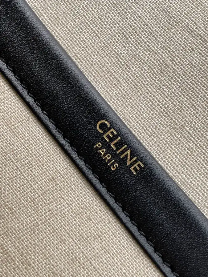 CELIN*22s CABAS刺绣 Mini Tote Handbag