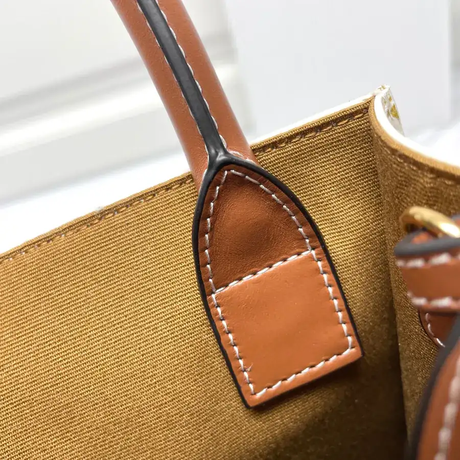 Triomphe Mini Tote A Delightful Accessory