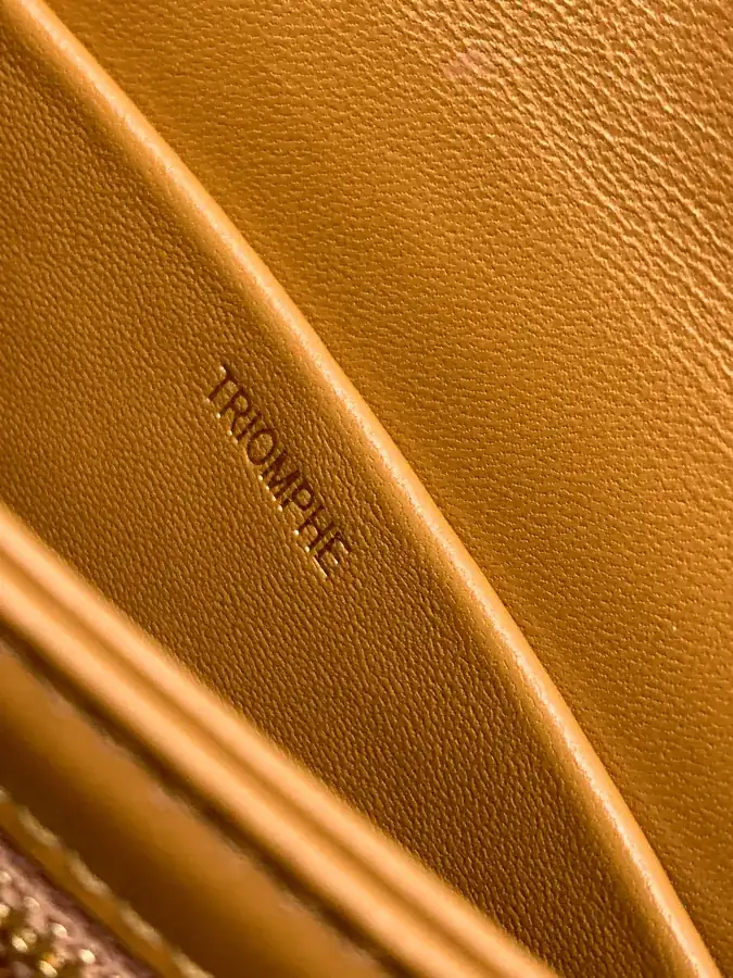 CELIN* Teen Triomphe Handbag Classic Box Series