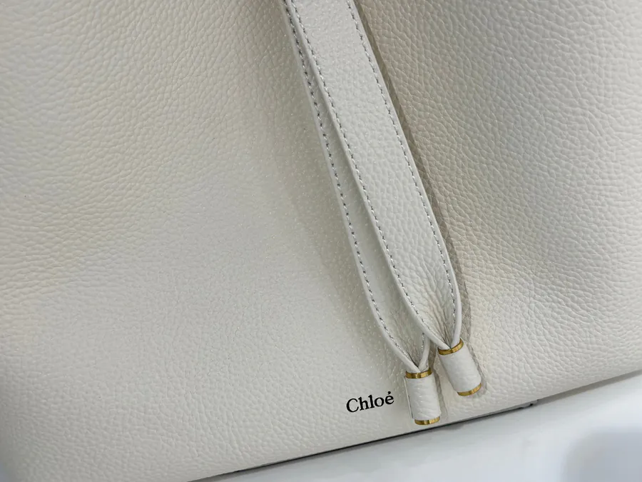 Chloe Marcie Hobo Bag Small Size