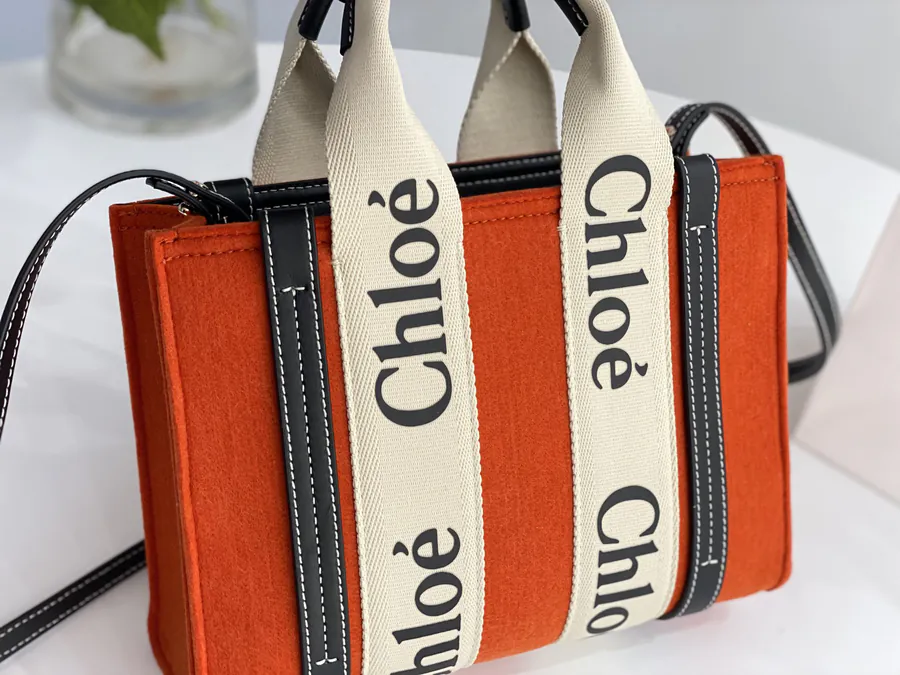 Chloe Woody Tote Small Size with Long Strap