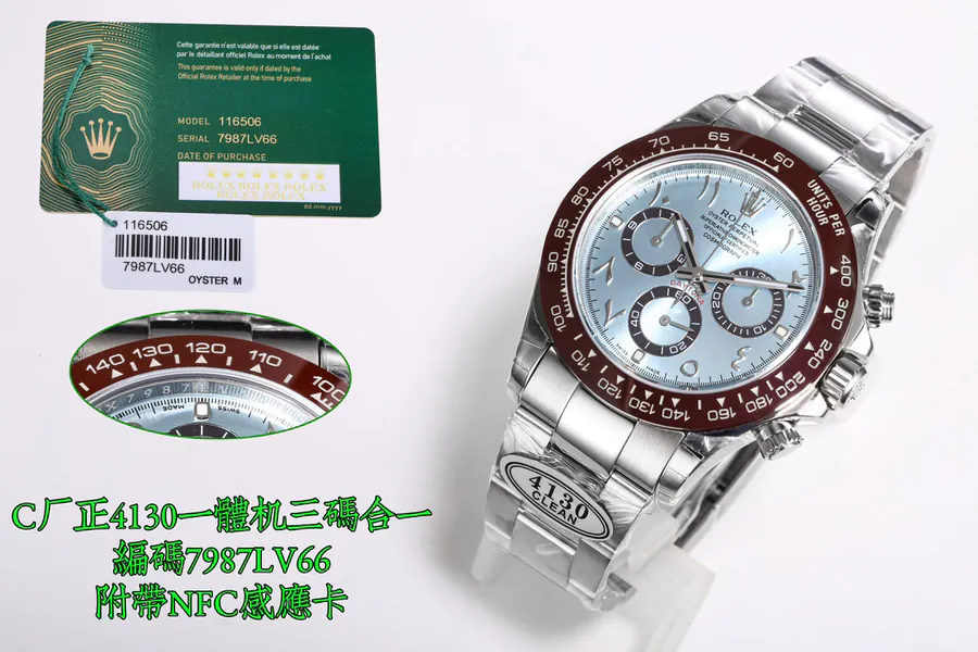 Watch visual reference image