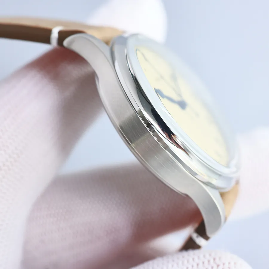 Watch visual reference image