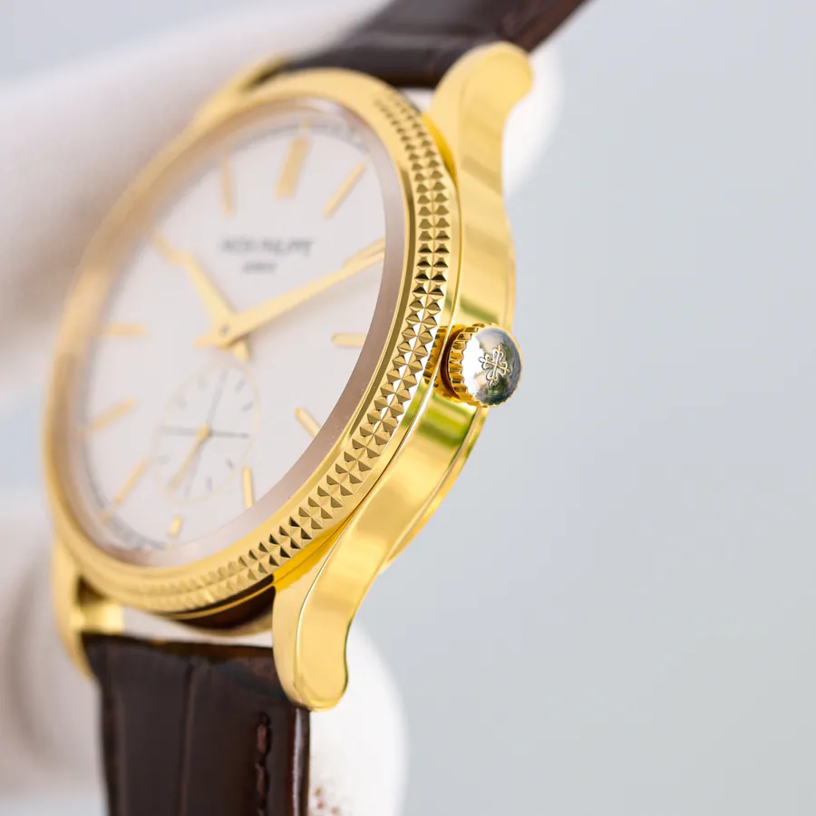 Watch visual reference image