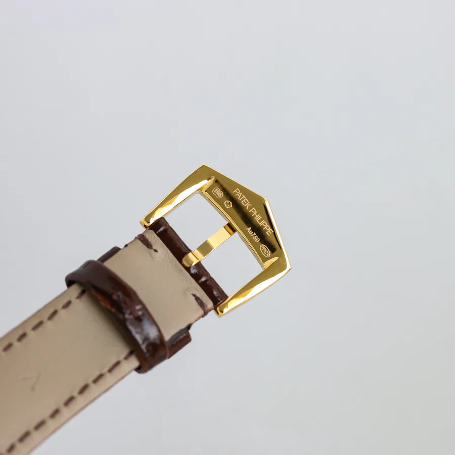 Watch visual reference image