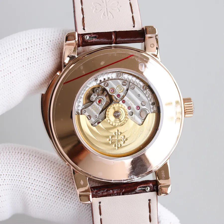 Patek Philippe Supercomplication Series 5073P 010 Watch