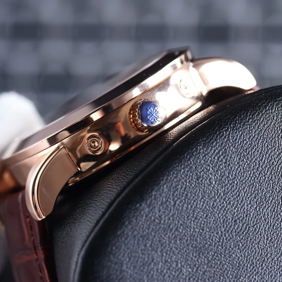 Patek Philippe Supercomplication Series 5073P 010 Watch