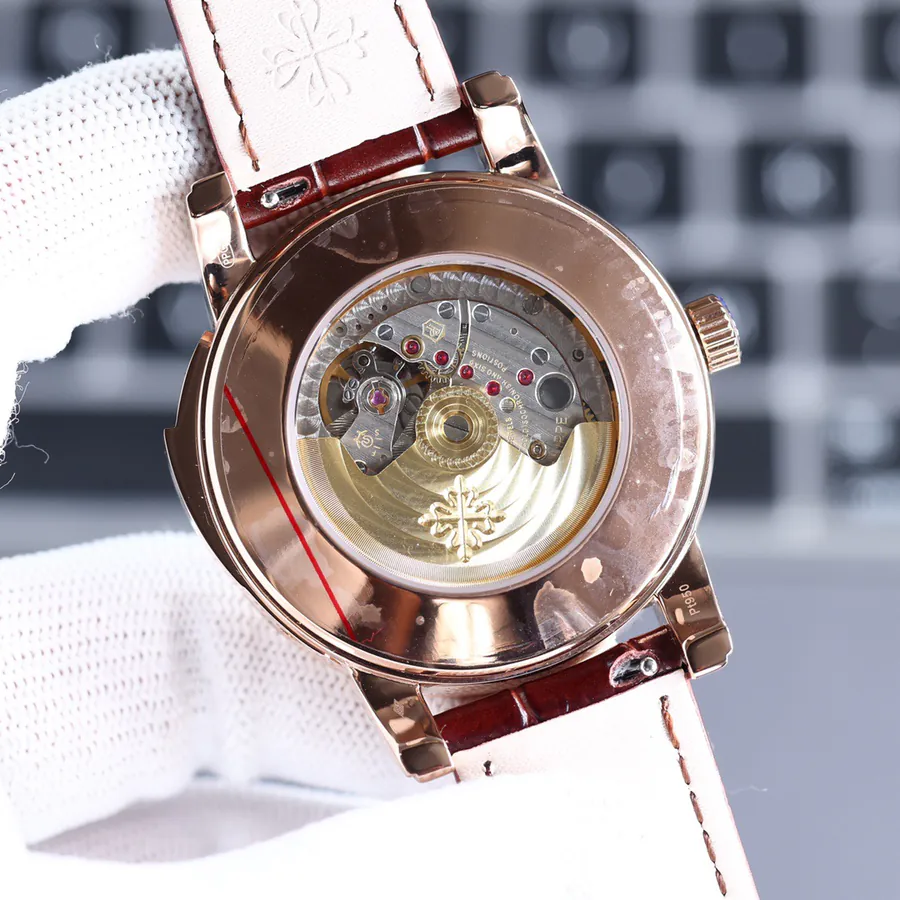 Patek Philippe Supercomplication Series 5073P 010 Watch