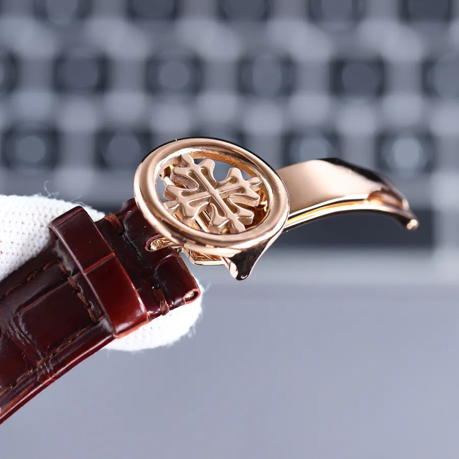 Patek Philippe Supercomplication Series 5073P 010 Watch