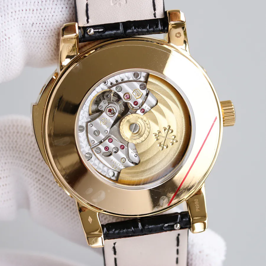 Patek Philippe Supercomplication Series 5073P 010 Watch