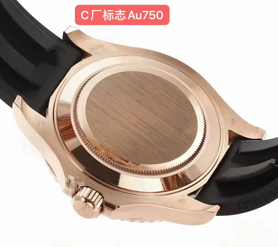 Watch visual reference image