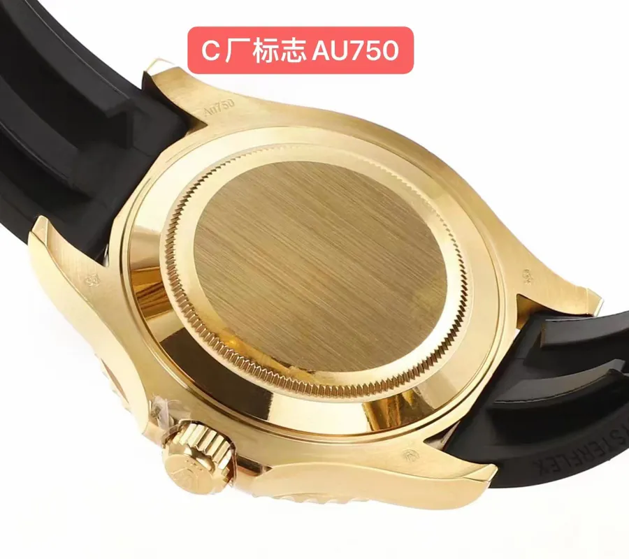 Watch visual reference image