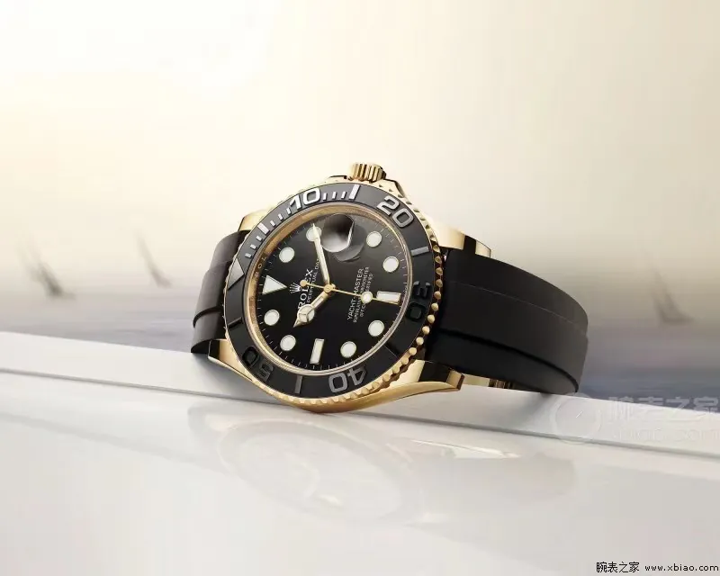 Watch visual reference image