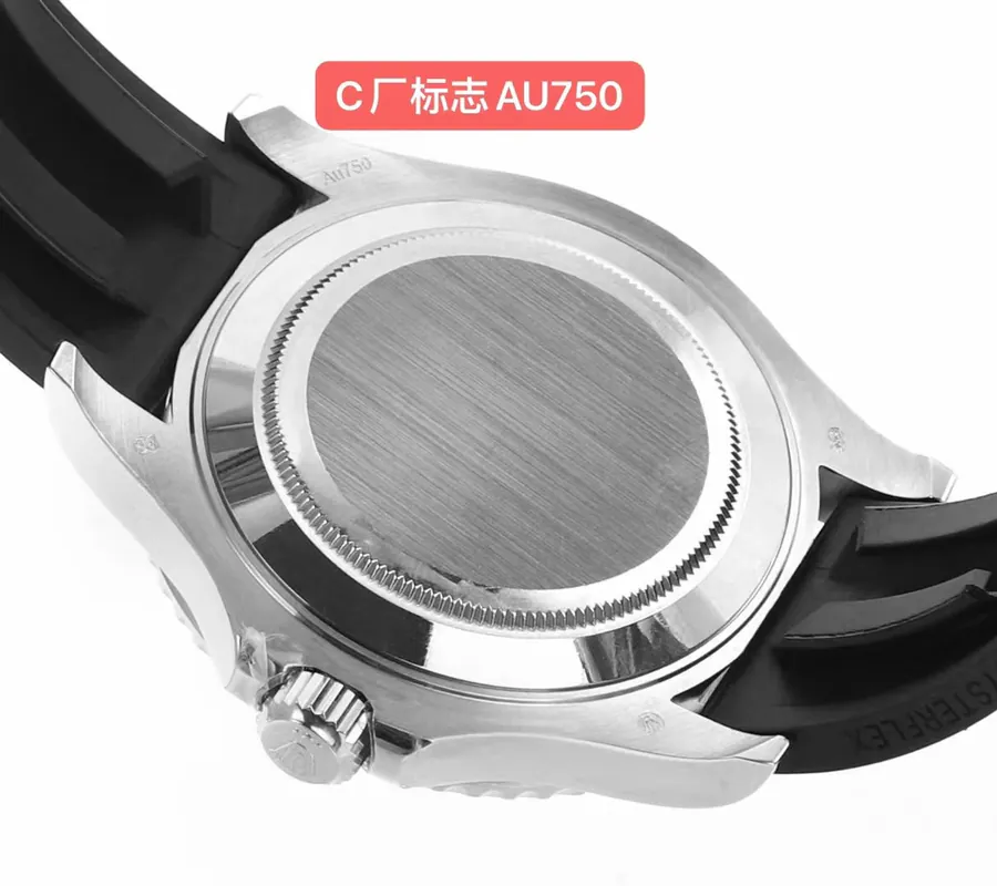 Watch visual reference image