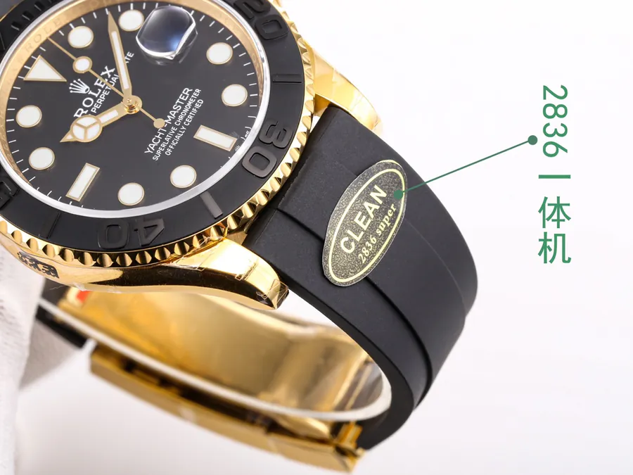 Watch visual reference image