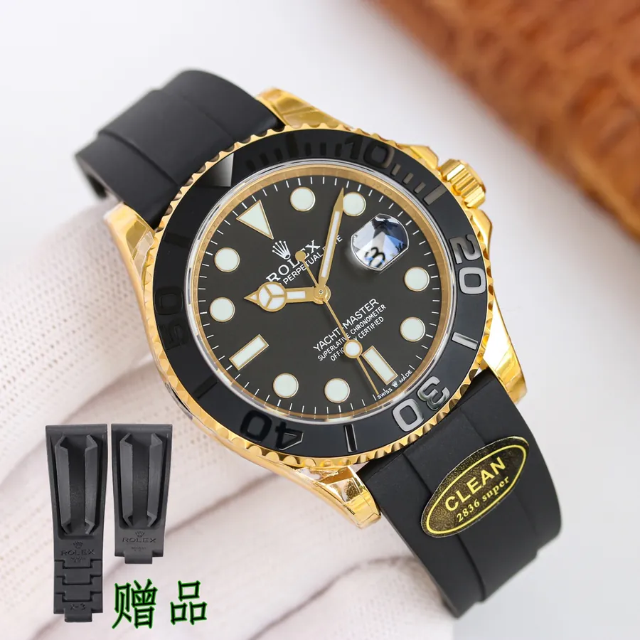 Watch visual reference image