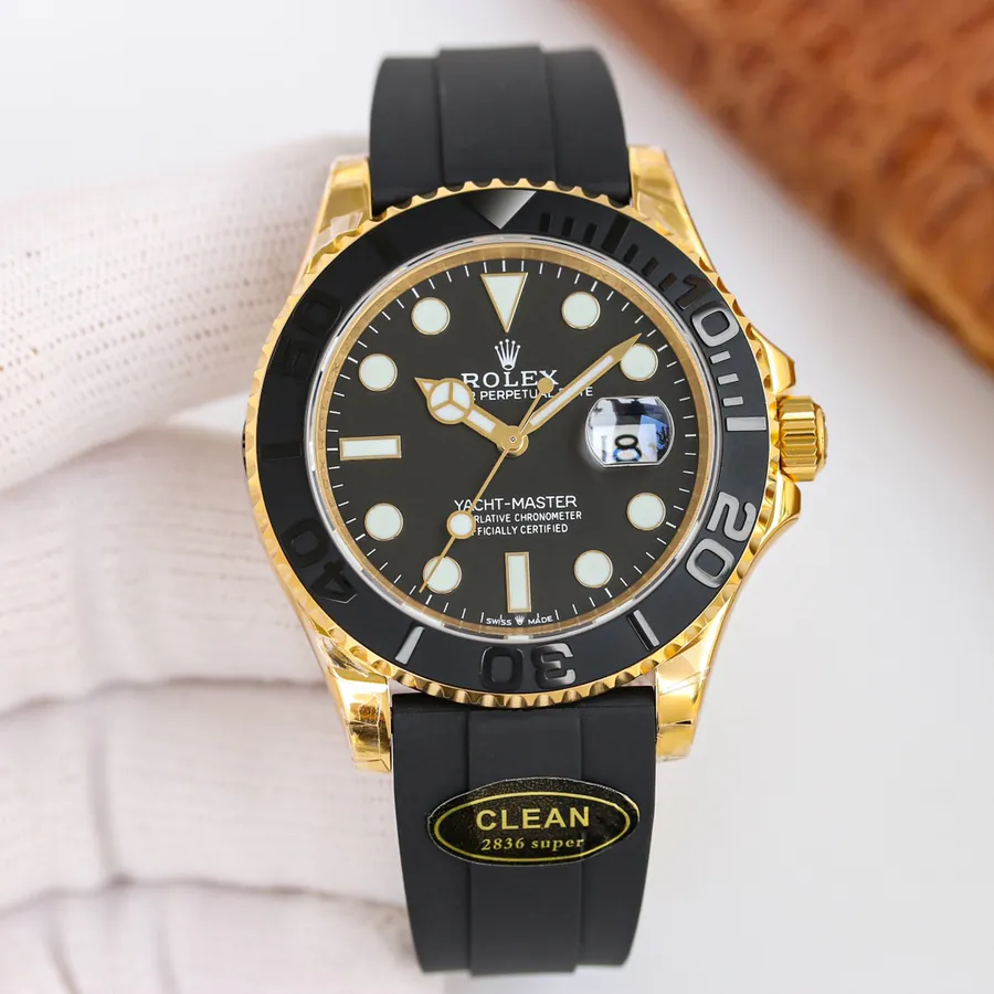 Watch visual reference image