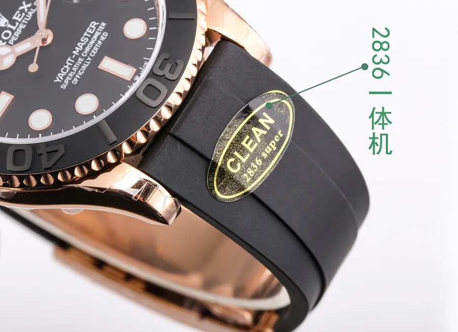 Watch visual reference image