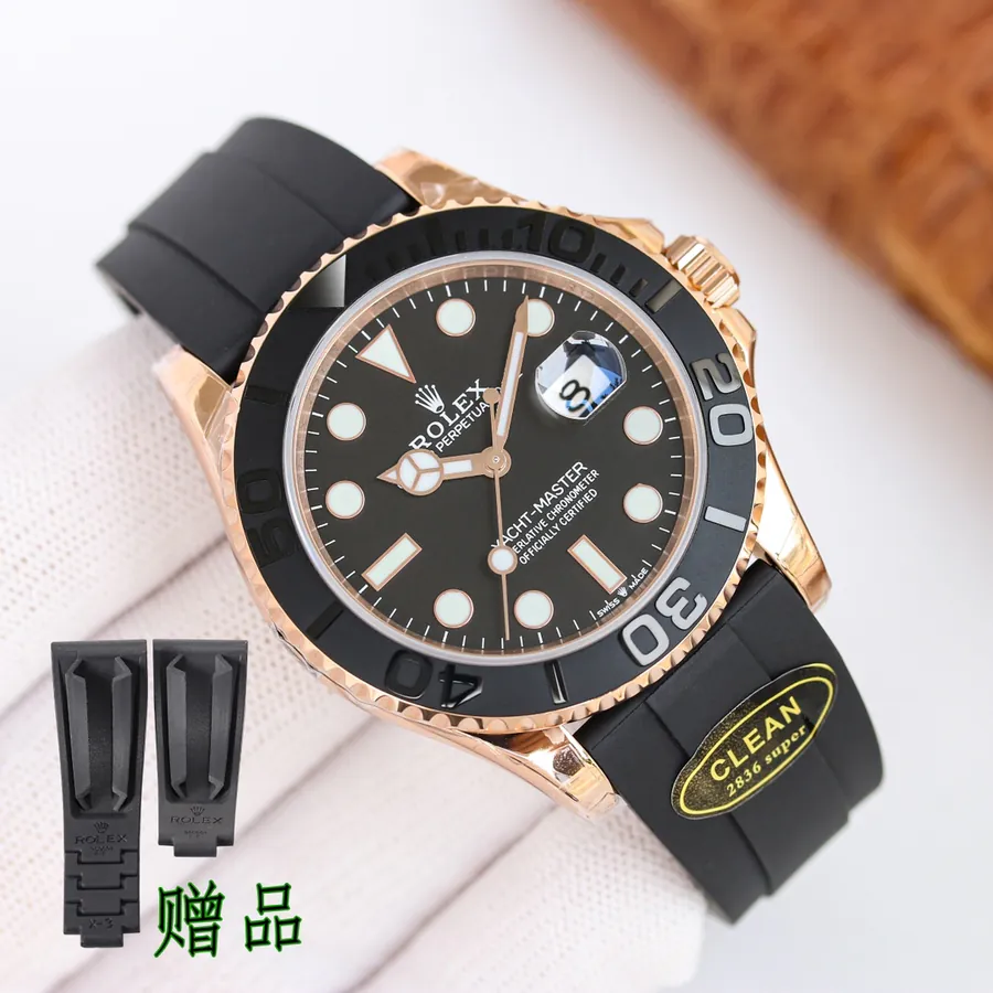 Watch visual reference image