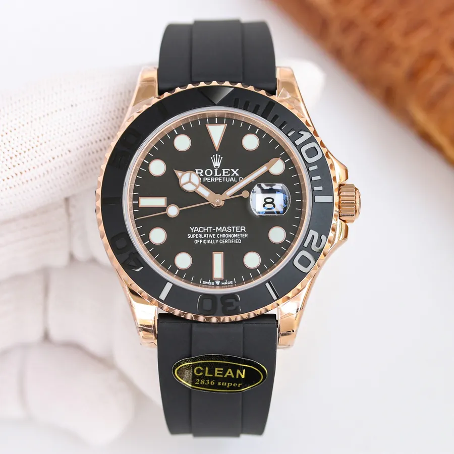 Watch visual reference image