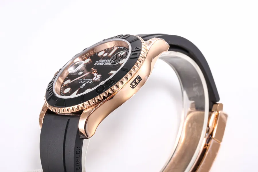 Watch visual reference image
