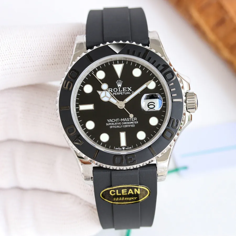 Watch visual reference image