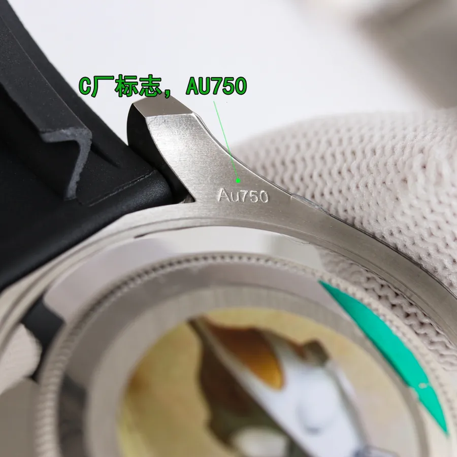 Watch visual reference image