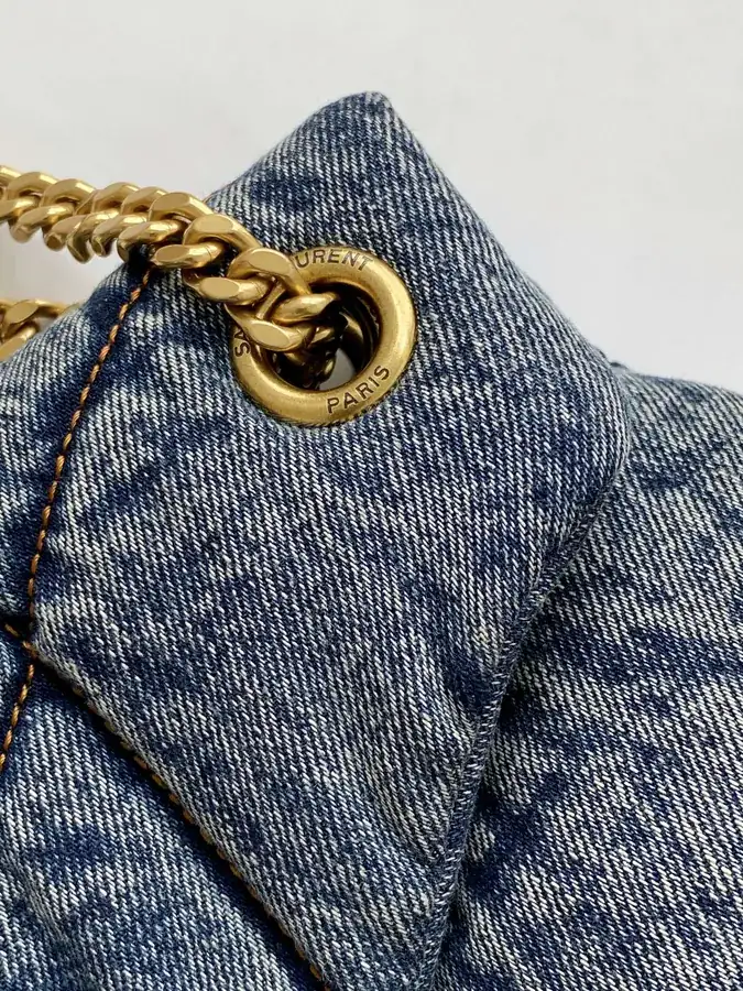 LOULOU PUFFER Premium Leather with Silver Chain Closure
